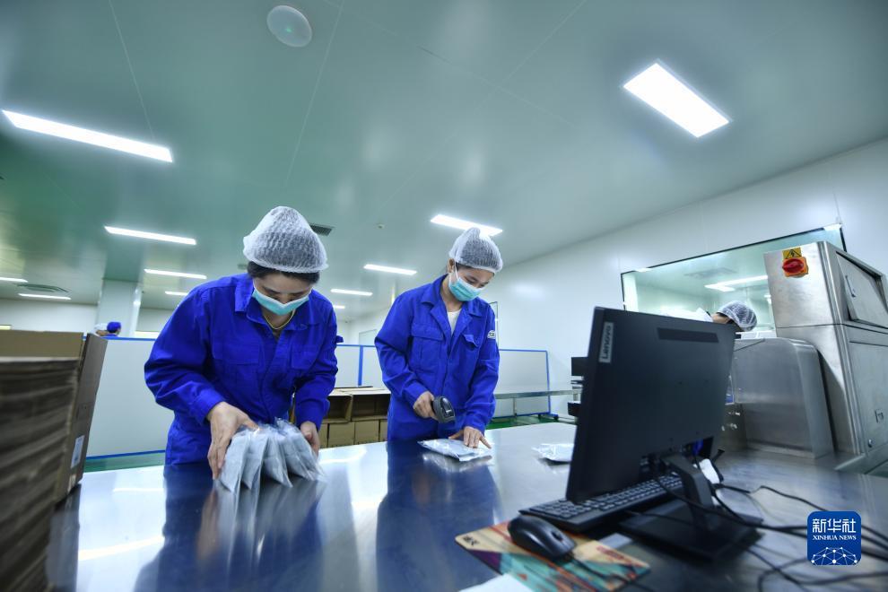金鲨银鲨中文版